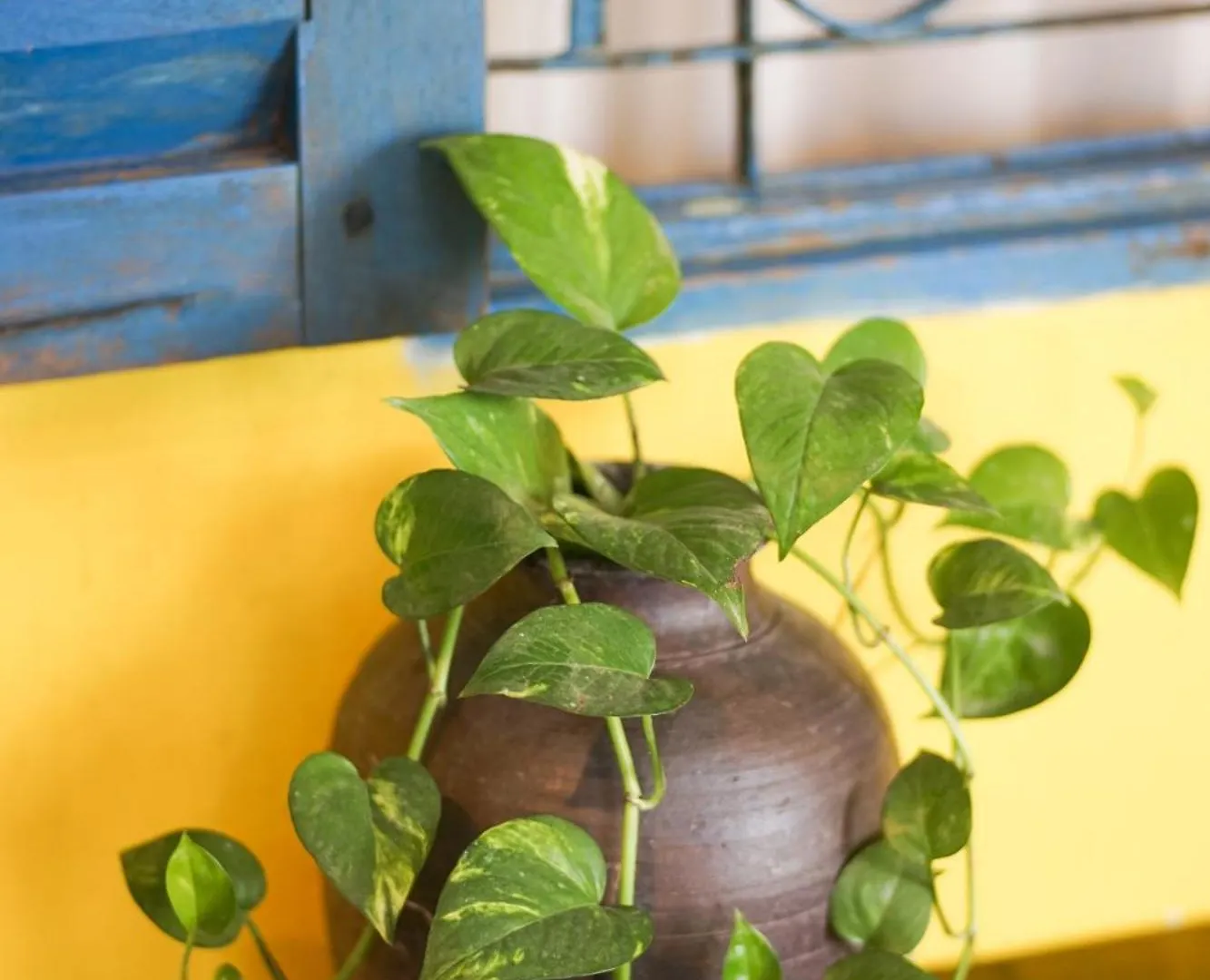 City Hostel Đà Nẵng